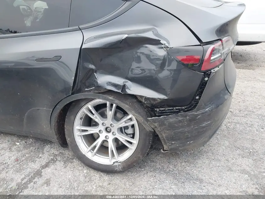 2024 TESLA MODEL Y RWD