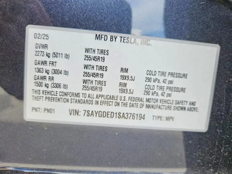 2025 TESLA MODEL Y   