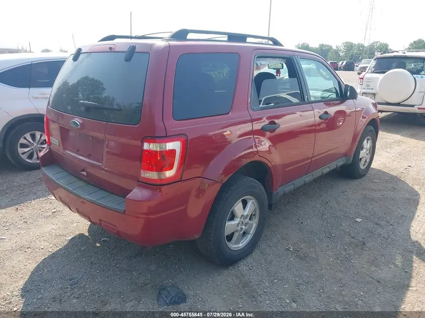 2010 FORD ESCAPE XLT