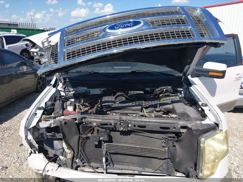 2010 FORD F-150 FX4/HARLEY-DAVIDSON/KING RANCH/LARIAT/PLATINUM/XL/XLT