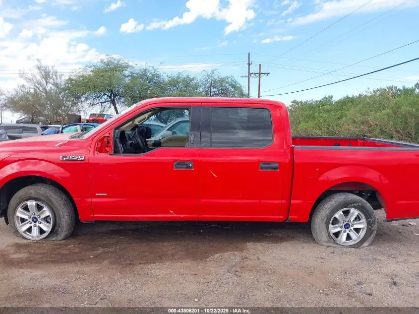 2015 FORD F-150 XLT