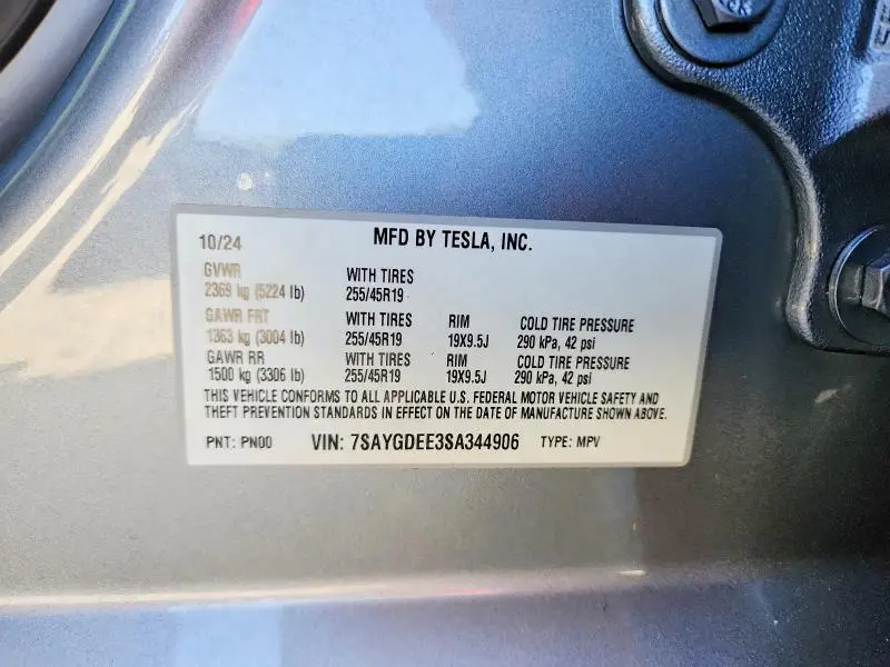 2025 TESLA MODEL Y   
