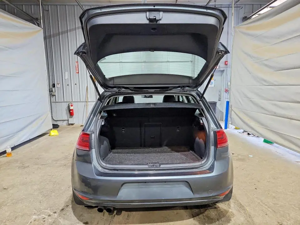 2017 VOLKSWAGEN GOLF S  