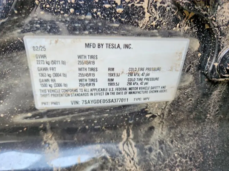 2025 TESLA MODEL Y   