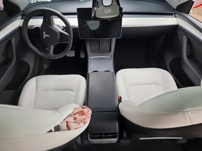 2025 TESLA MODEL Y   