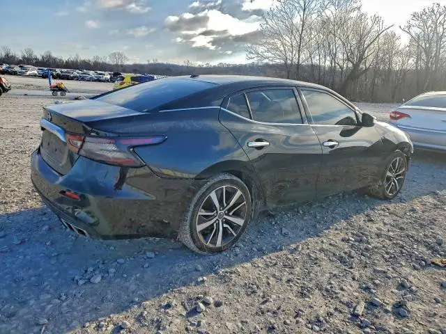 2019 NISSAN MAXIMA 3.5 SV  