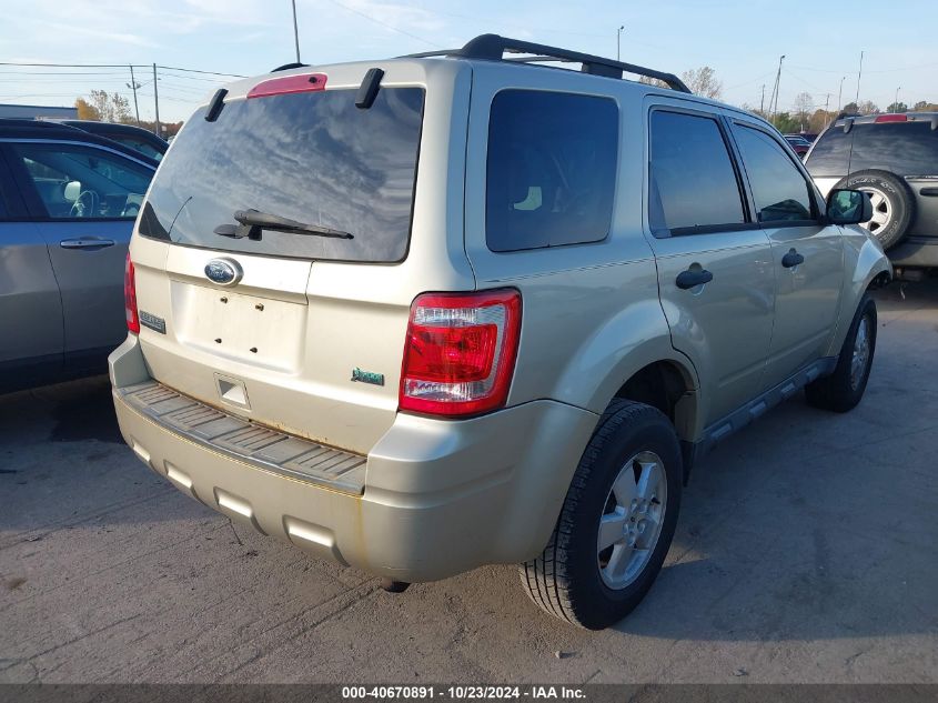 2010 FORD ESCAPE XLT