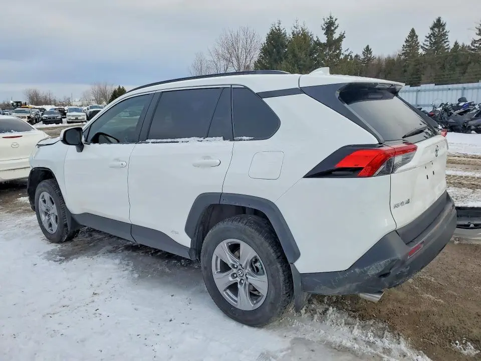 2025 TOYOTA RAV4 LE  