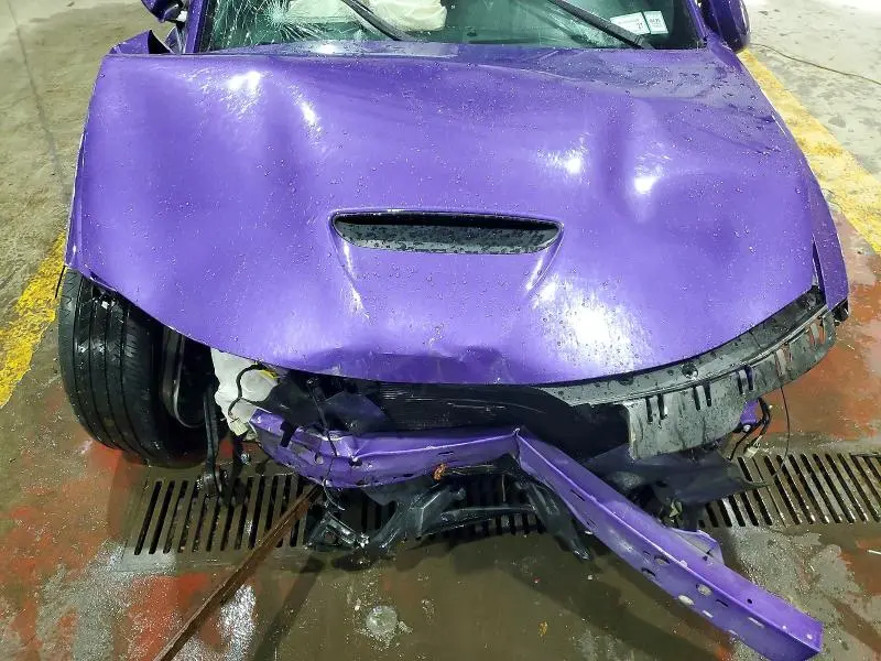 2018 DODGE CHARGER R/T 392  