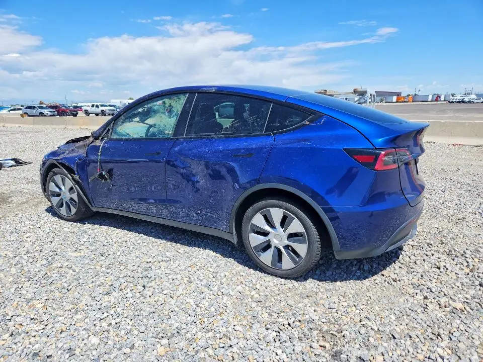 2024 TESLA MODEL Y   