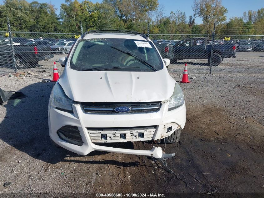 2013 FORD ESCAPE SEL