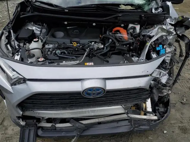 2023 TOYOTA RAV4 LE  