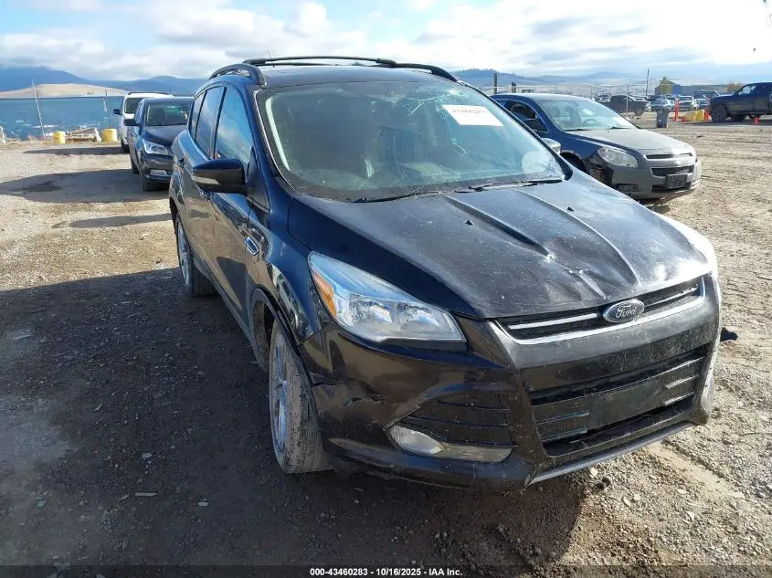 2013 FORD ESCAPE SEL