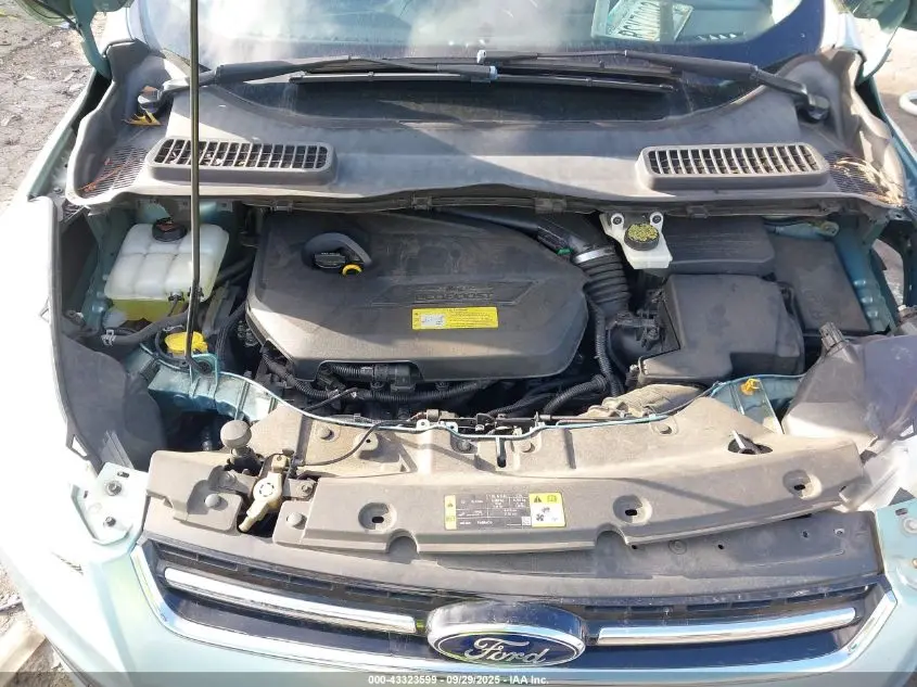 2013 FORD ESCAPE SEL