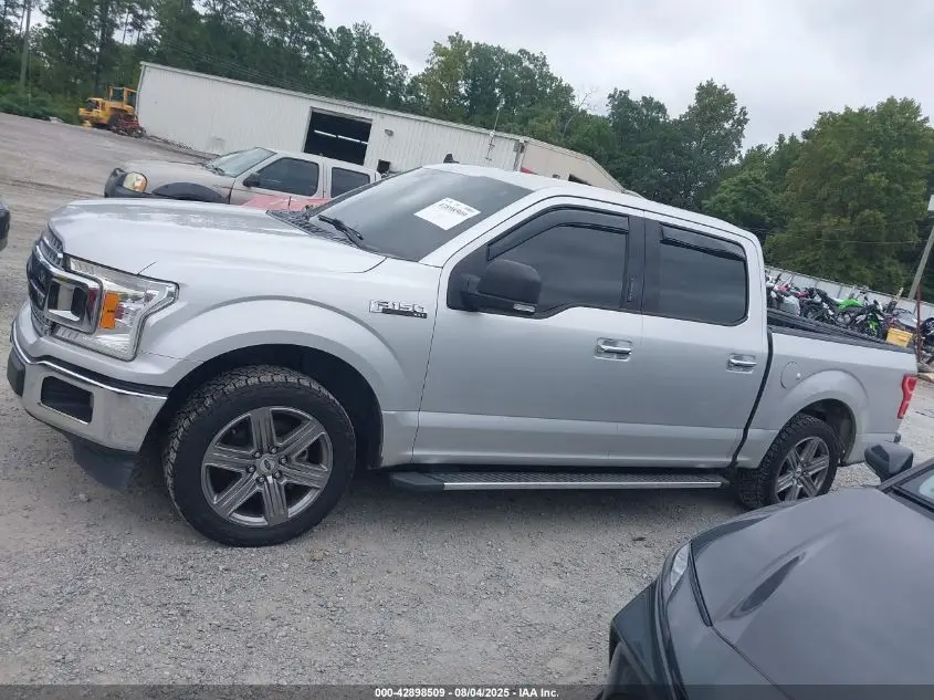 2019 FORD F-150 XLT