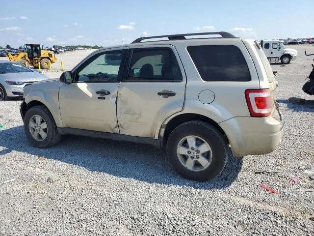 2010 FORD ESCAPE XLT  