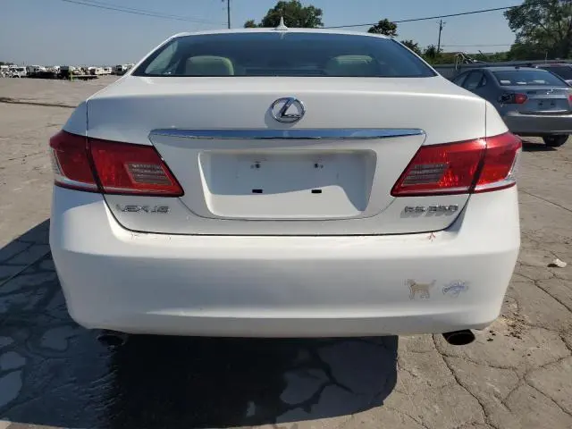 2010 LEXUS ES 350  