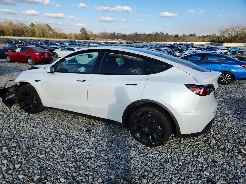 2021 TESLA MODEL Y   