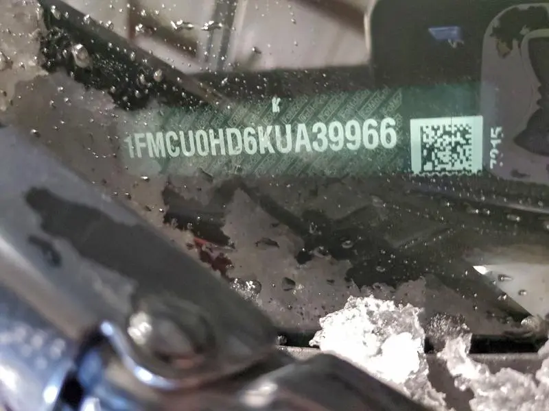 2019 FORD ESCAPE SEL  