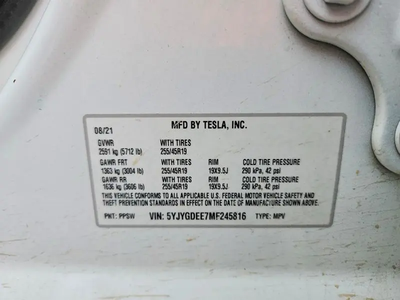 2021 TESLA MODEL Y   