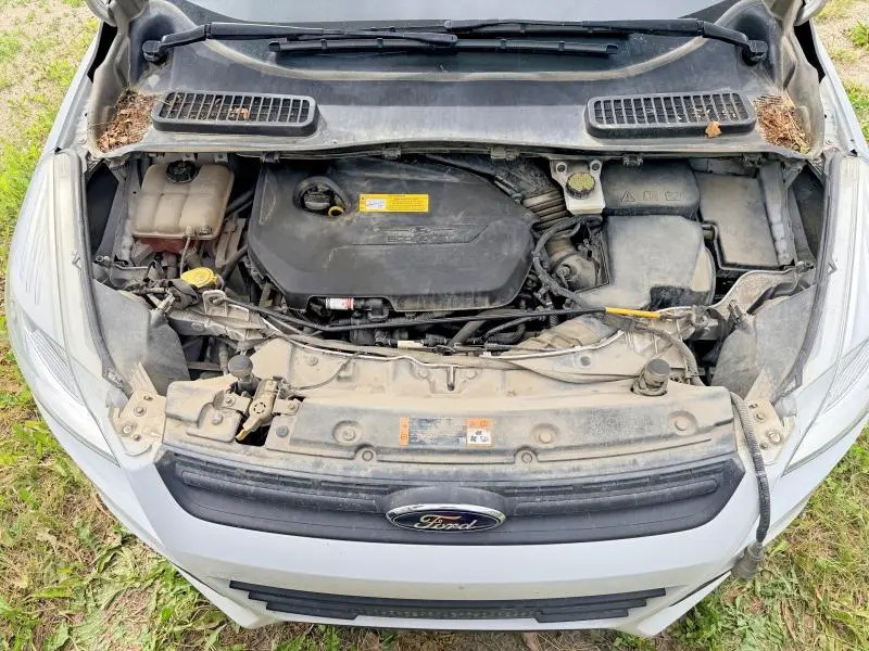 2016 FORD ESCAPE S  