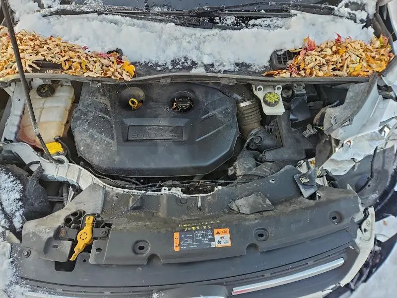 2016 FORD ESCAPE SE  