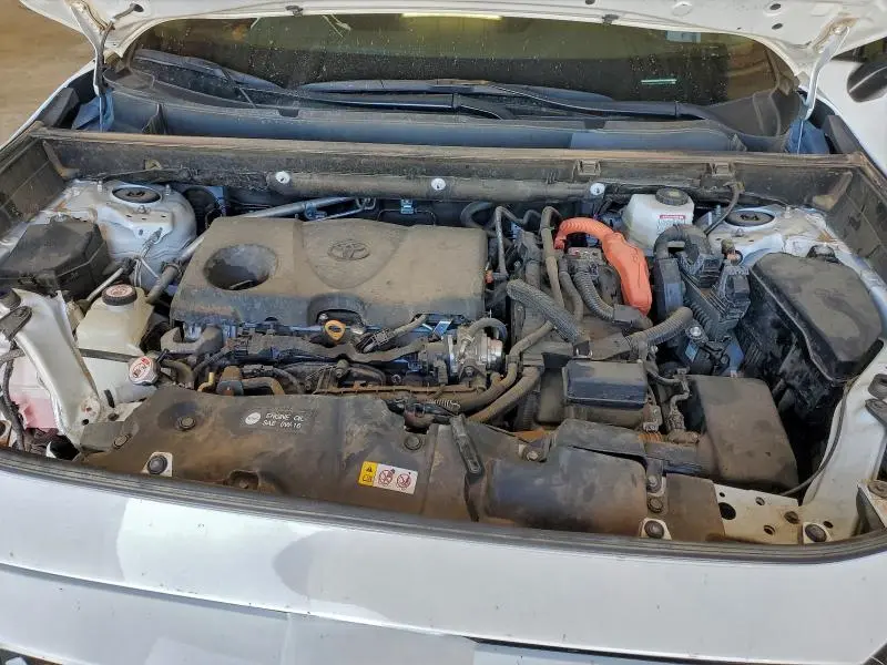 2024 TOYOTA RAV4 WOODLAND EDITION  