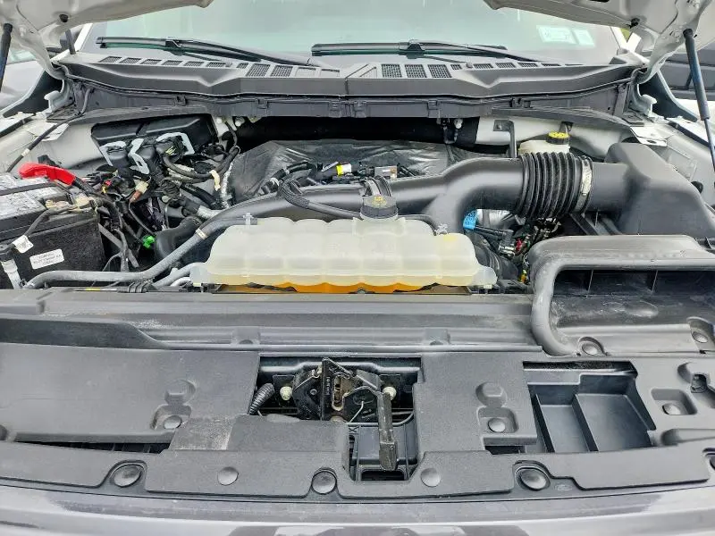 2024 FORD F150 STX  