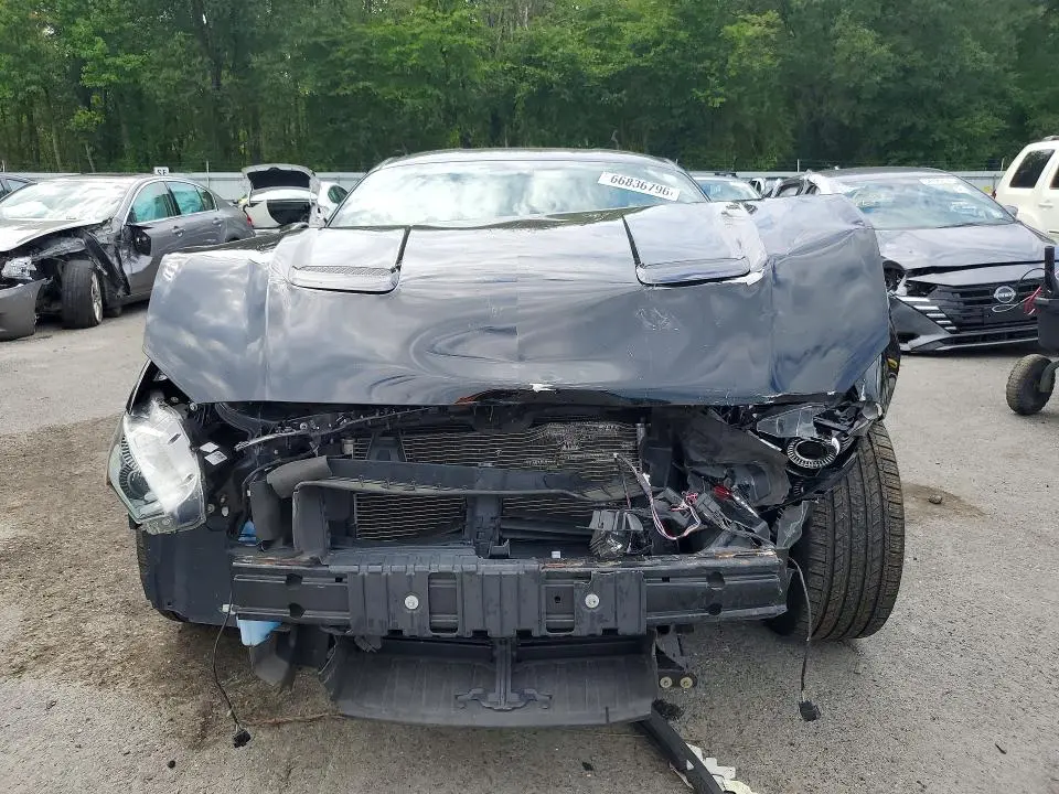 2019 FORD MUSTANG GT  
