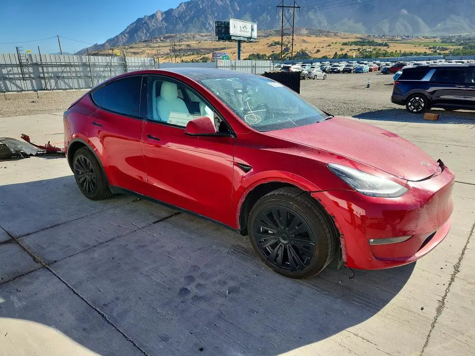 2021 TESLA MODEL Y   
