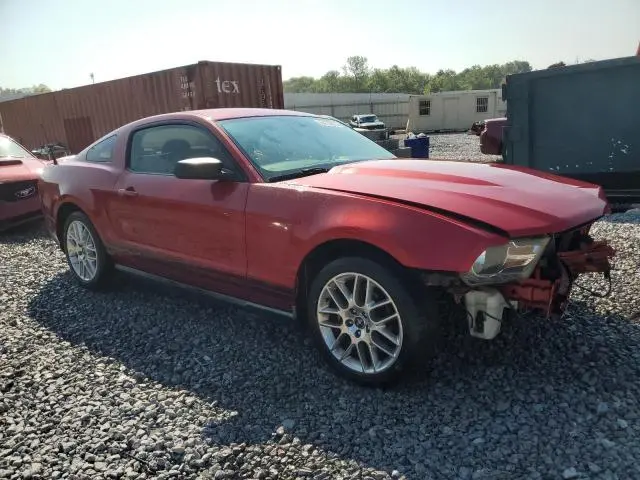 2010 FORD MUSTANG   