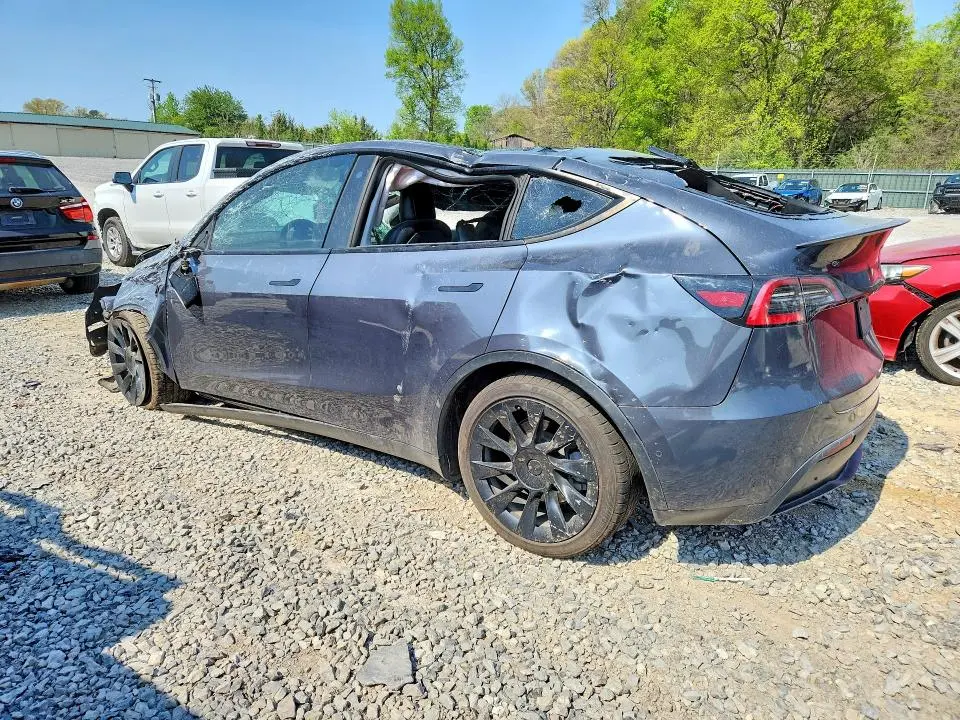 2021 TESLA MODEL Y   