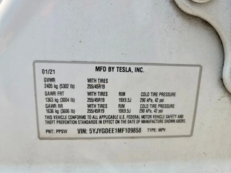 2021 TESLA MODEL Y   