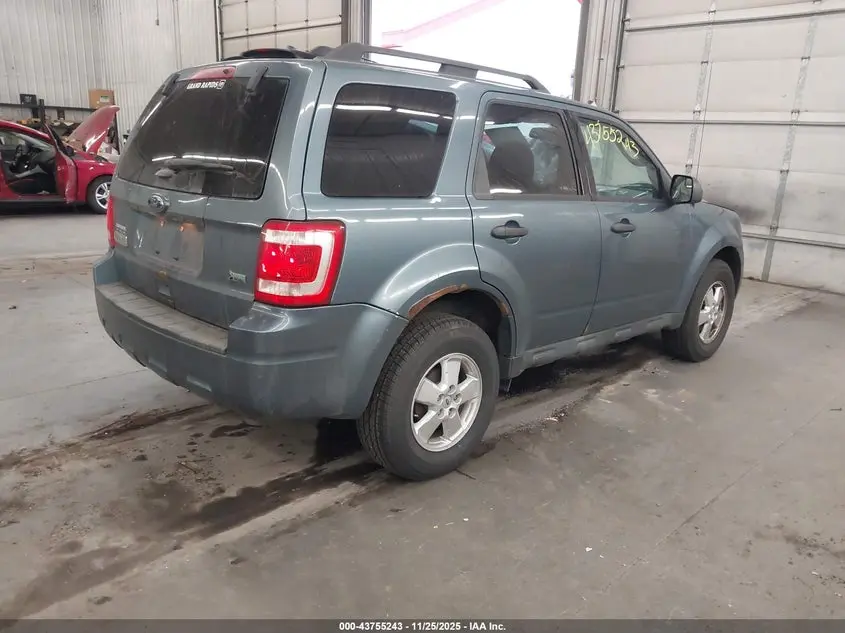 2011 FORD ESCAPE XLT