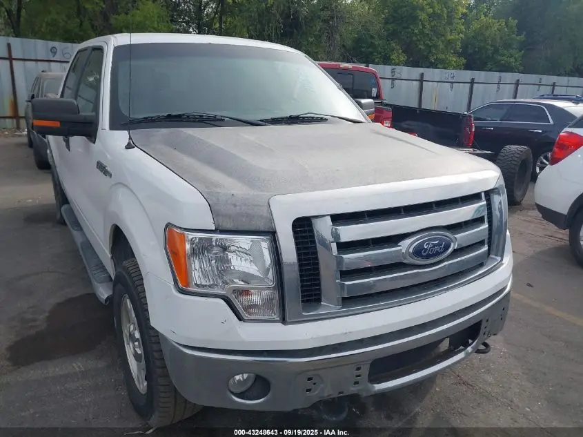 2012 FORD F-150 XLT