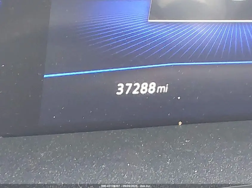 2024 VOLKSWAGEN TIGUAN 2.0T SE/2.0T WOLFSBURG EDITION