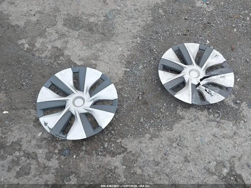 2024 TESLA MODEL Y RWD