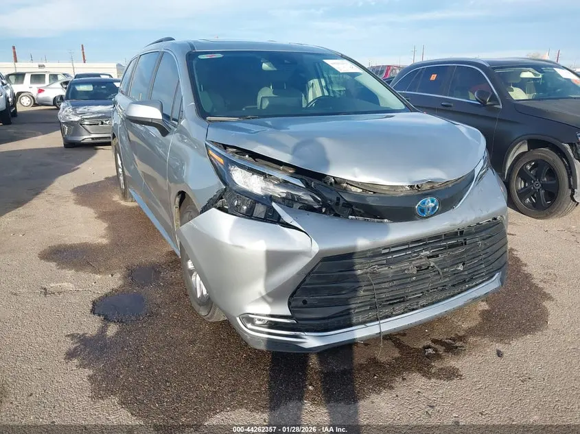 2024 TOYOTA SIENNA XLE
