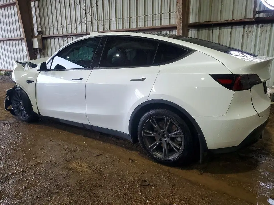 2024 TESLA MODEL Y   