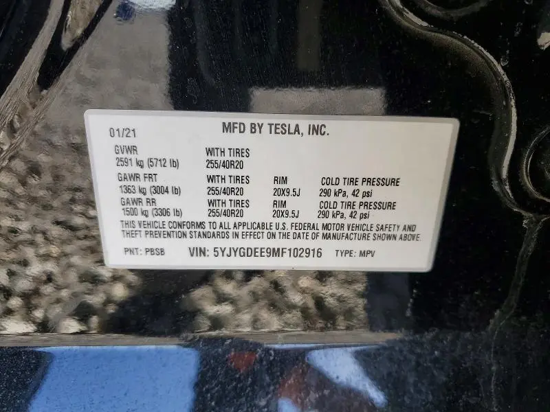 2021 TESLA MODEL Y   