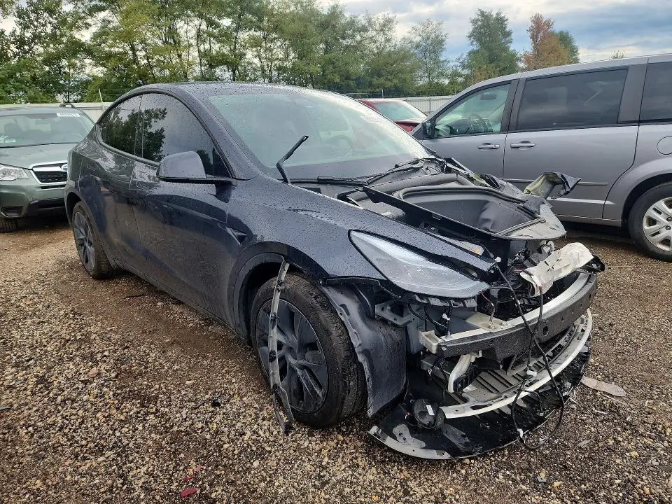 2025 TESLA MODEL Y   