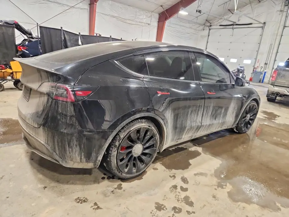 2020 TESLA MODEL Y   