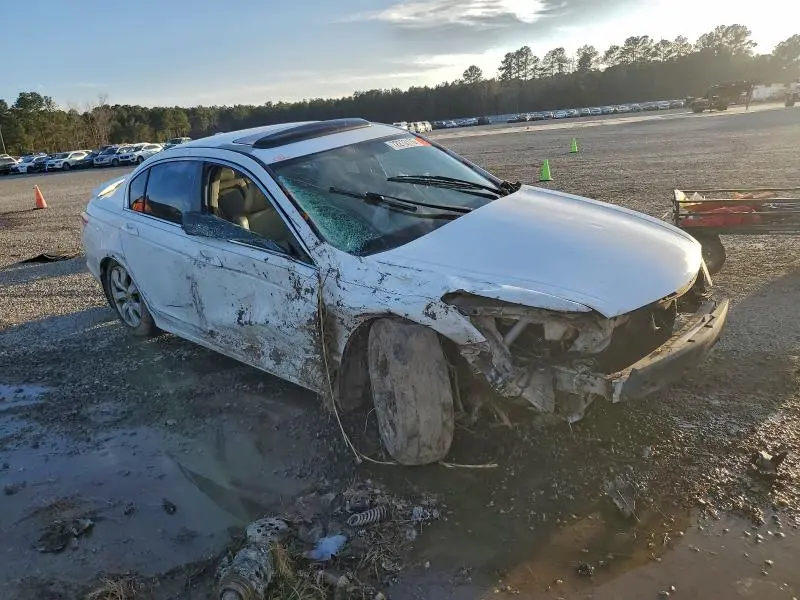 2010 HONDA ACCORD EXL  