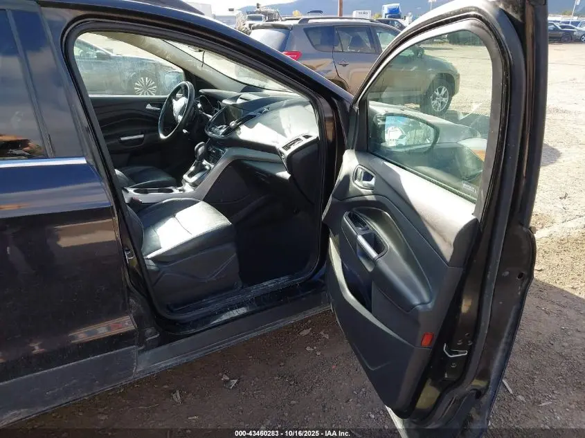 2013 FORD ESCAPE SEL