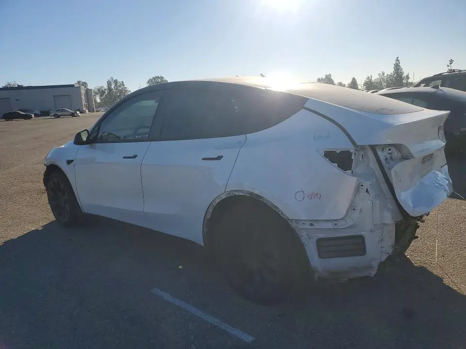 2020 TESLA MODEL Y   