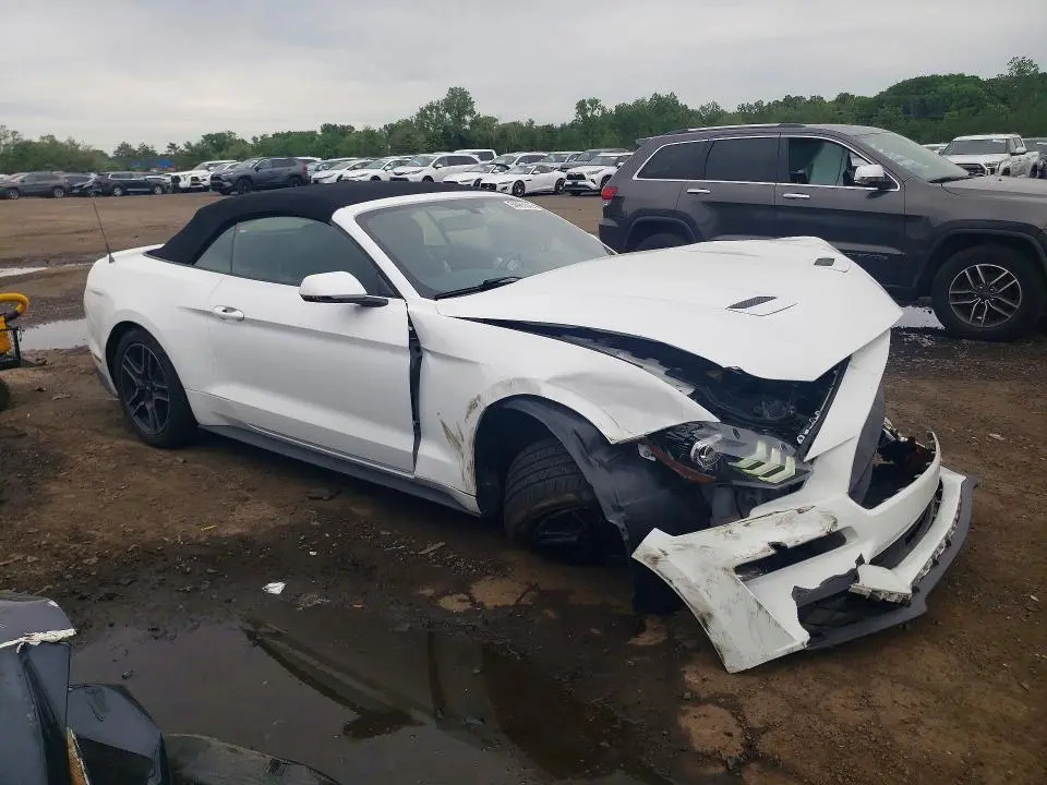 2019 FORD MUSTANG   
