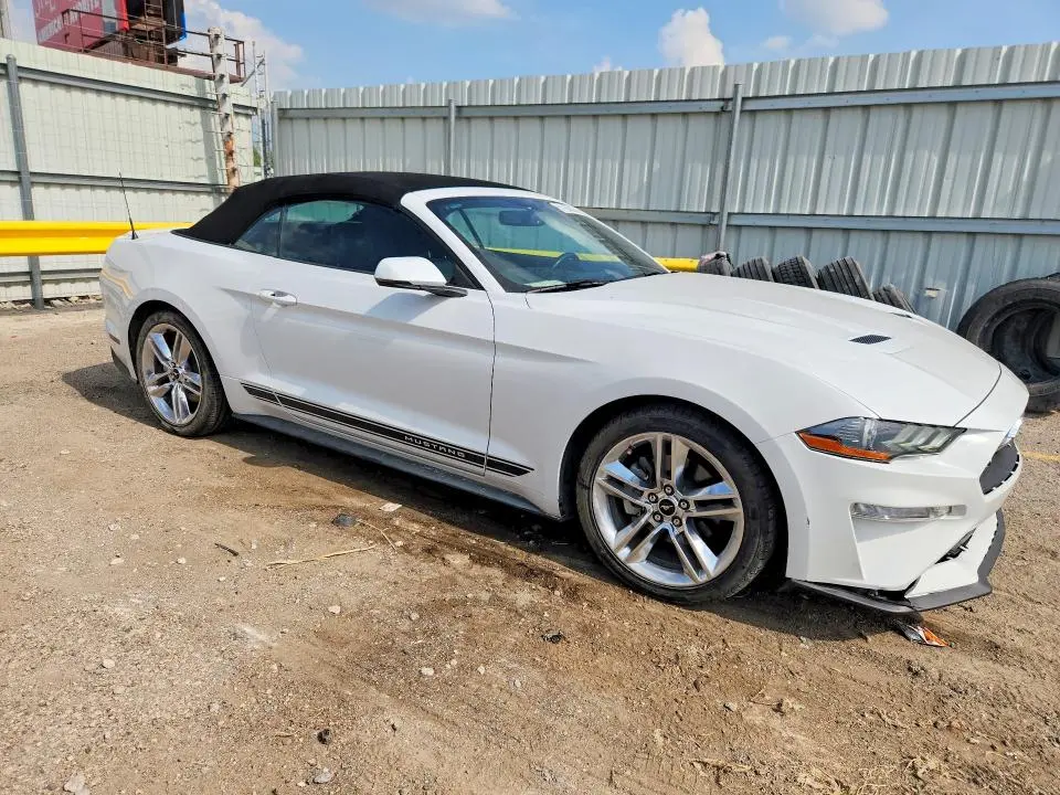 2019 FORD MUSTANG   