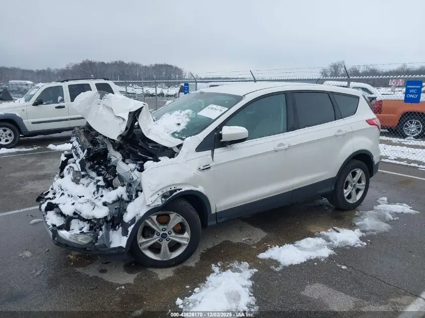 2013 FORD ESCAPE SE