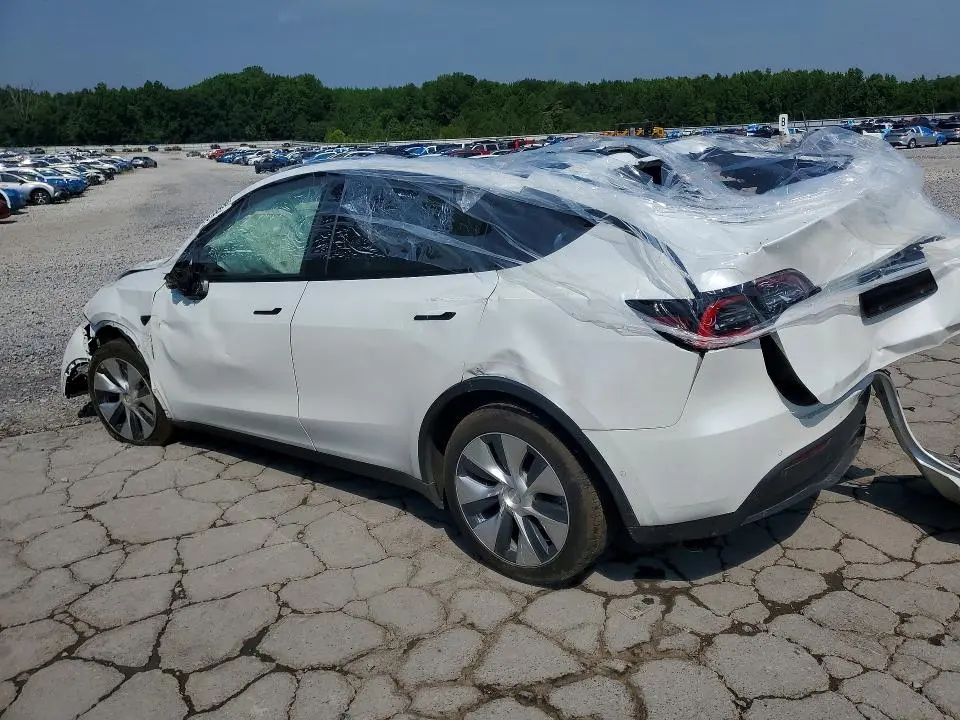 2021 TESLA MODEL Y   