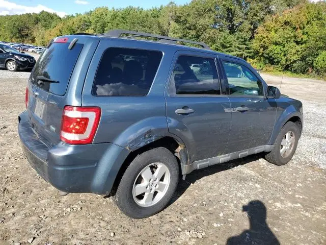 2011 FORD ESCAPE XLT  